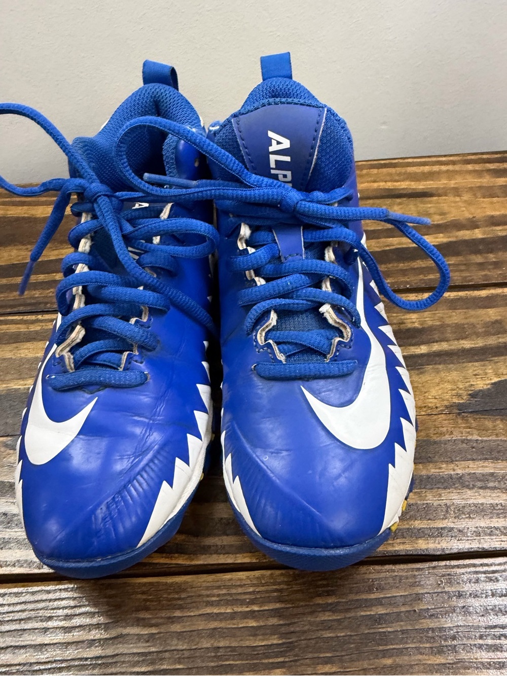 Nike Kids Royal Blue and White Athletic Sneakers Youth 1